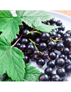 Arôme Alimentaire Cassis