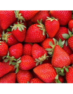 Arôme Alimentaire Fraise