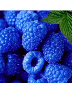 Arôme Alimentaire Framboise...