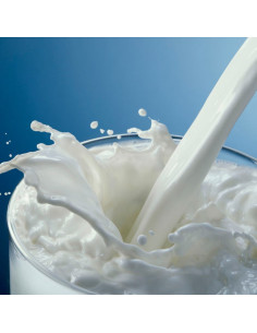 Arôme Alimentaire Lait