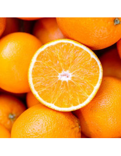 Arôme Alimentaire Orange